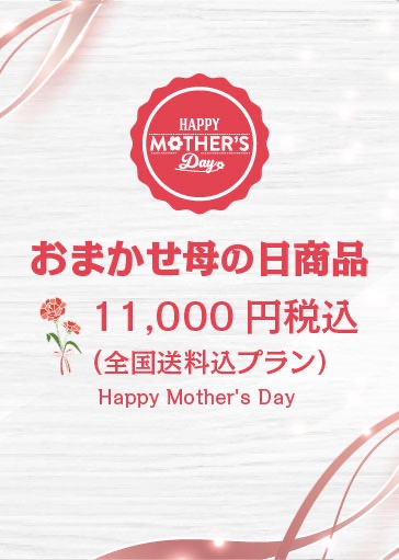 おまかせ母の日商品(全国送料込み11000円プラン)