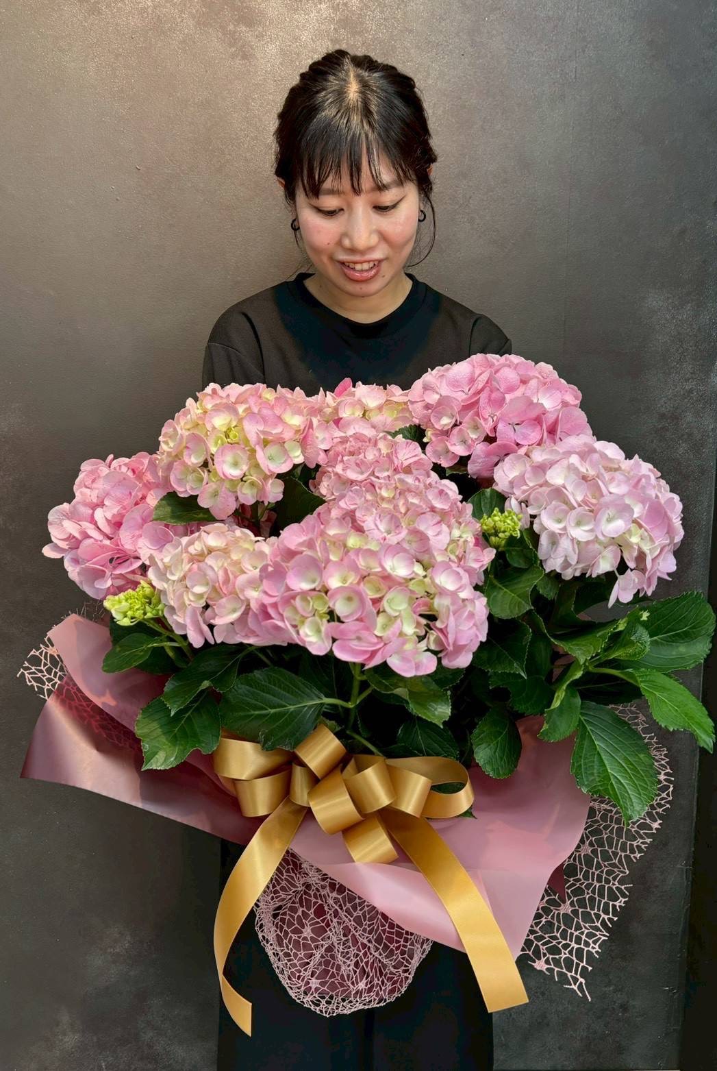 鉢物 あじさい M 色おまかせ